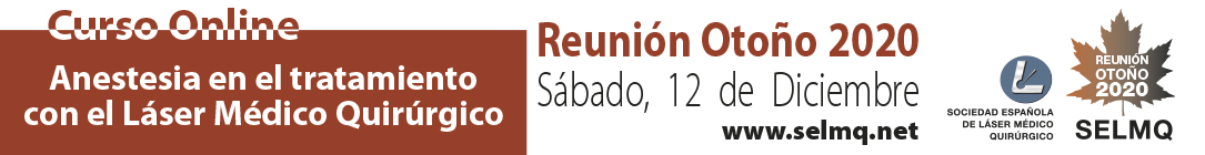 banner-1085x140-curso_selmq_2020_300dpi